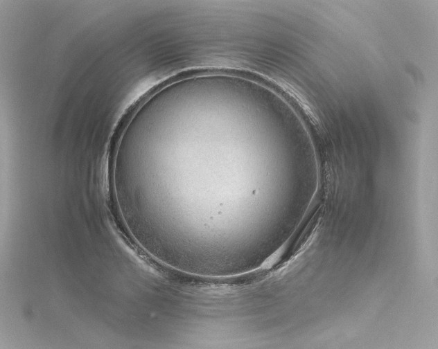 X0000116310982200911301459