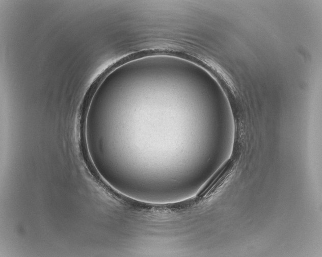 X0000116310983200911301459