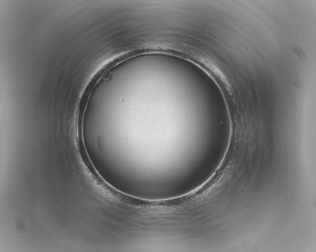 X0000116310984200911301459