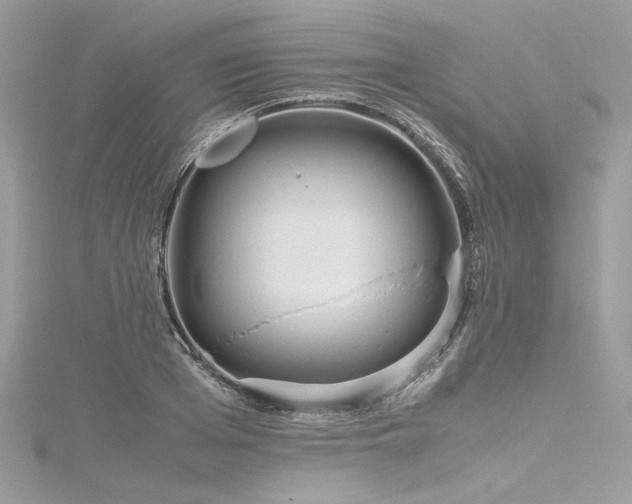 X0000116310985200911301459