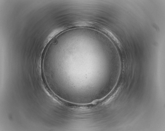 X0000116310986200911301459