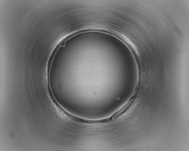 X0000116310988200911301459