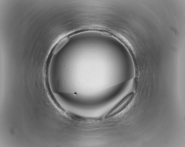 X0000116310989200911301459