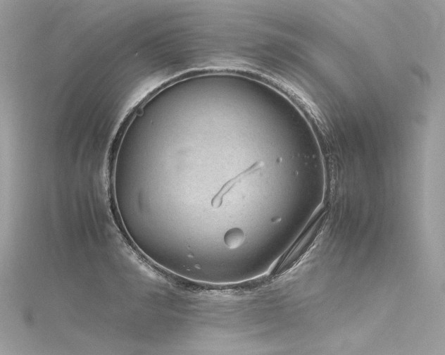 X0000116310990200911301459