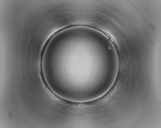 X0000116310992200911301459