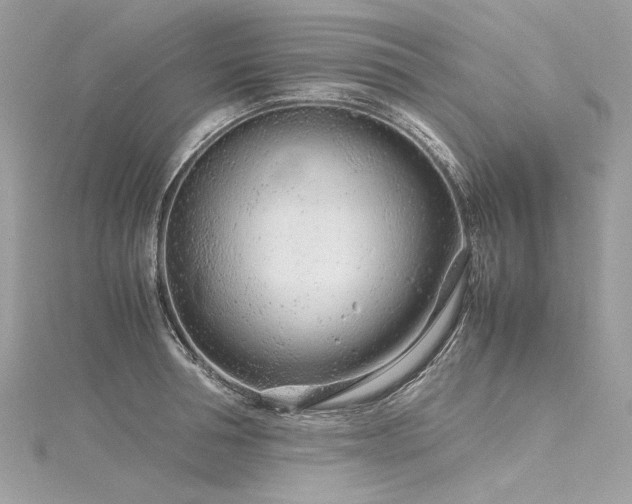 X0000116310994200911301459