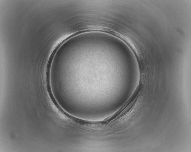 X0000116310995200911301459