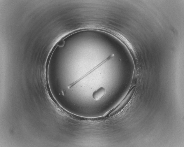 X0000116310996200911301459