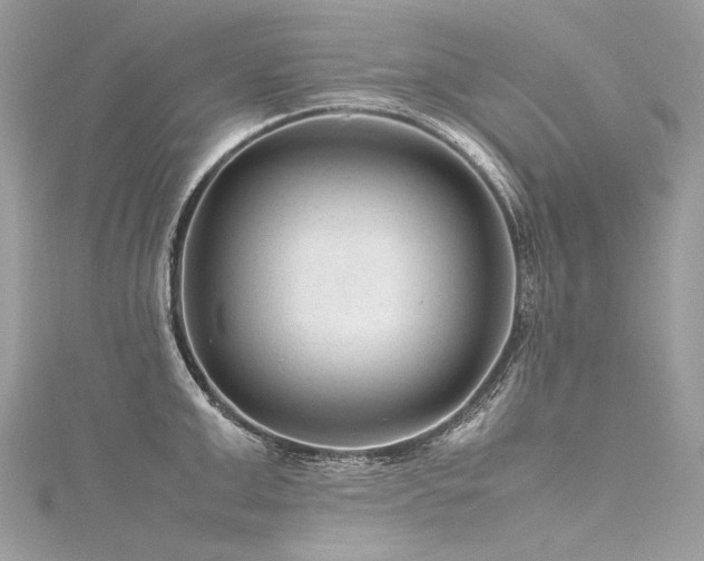 X0000116310999200911301459