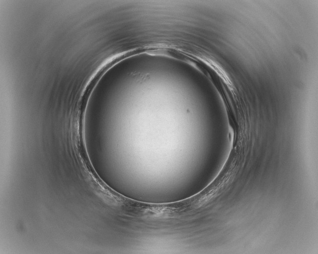 X0000116311000200911301459