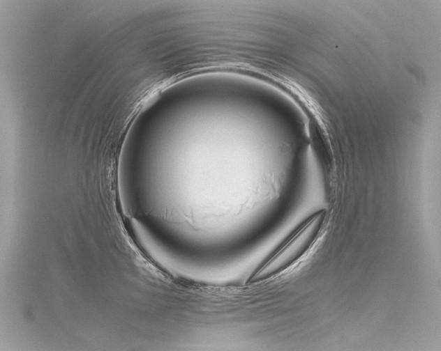 X0000116311001200911301459