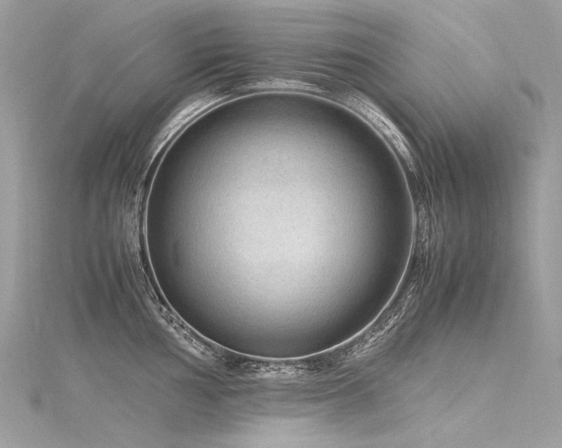 X0000116311002200911301459