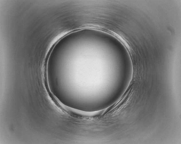 X0000116311003200911301459