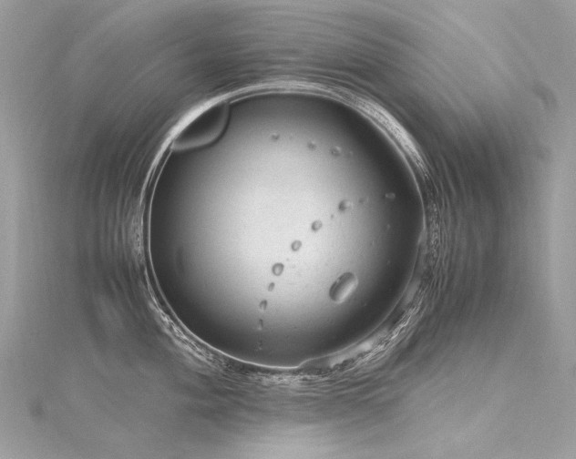 X0000116311004200911301459