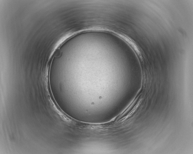 X0000116311006200911301459