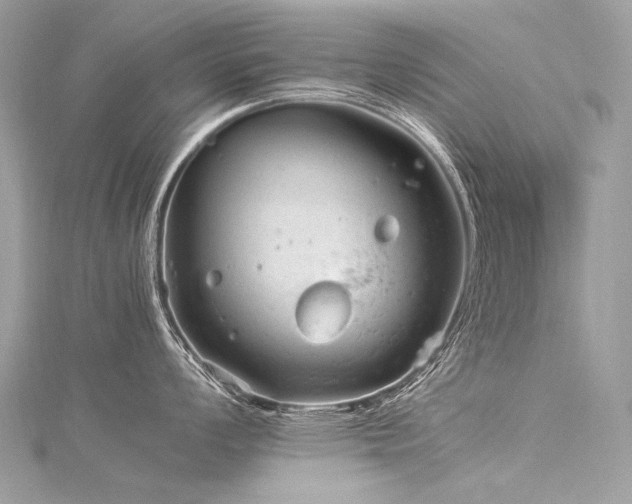 X0000116311008200911301459