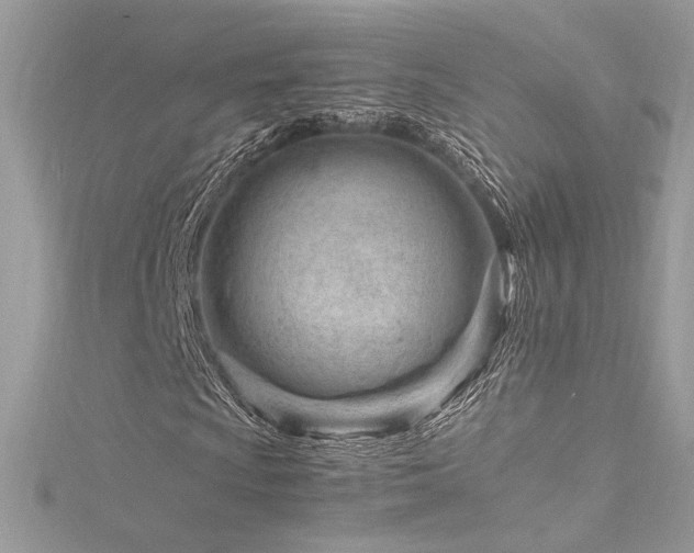 X0000116311009200911301458