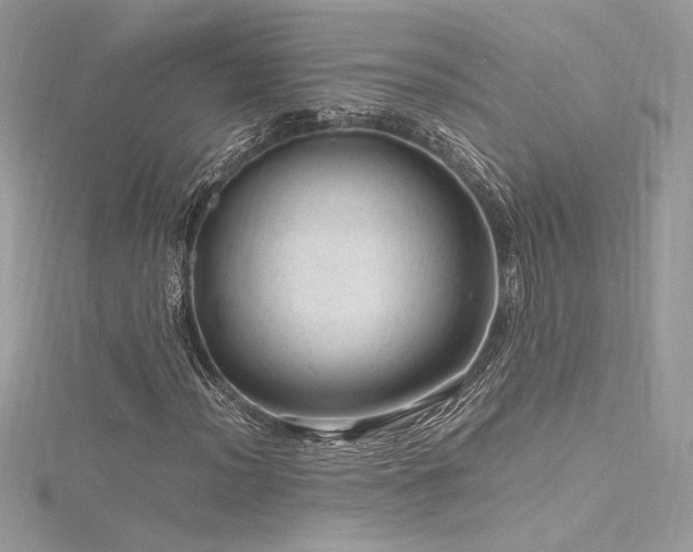 X0000116311012200911301458