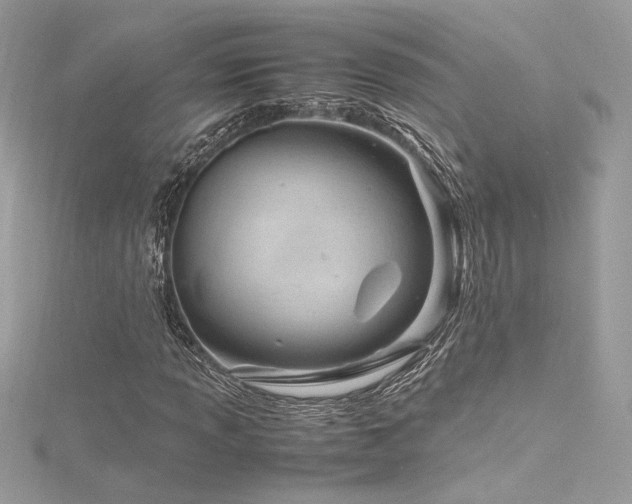 X0000116311013200911301458