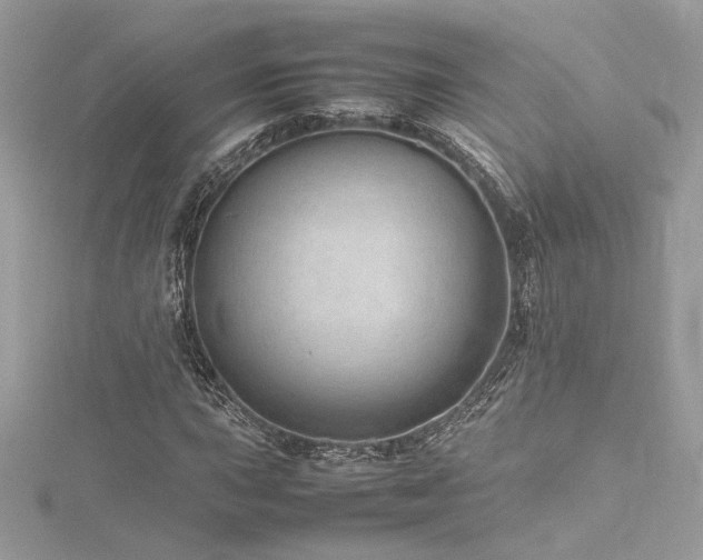 X0000116311015200911301458