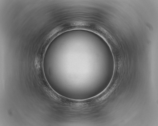 X0000116311017200911301458