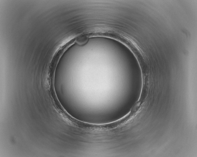 X0000116311018200911301458