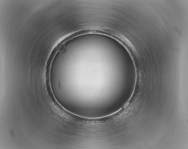 X0000116311020200911301458