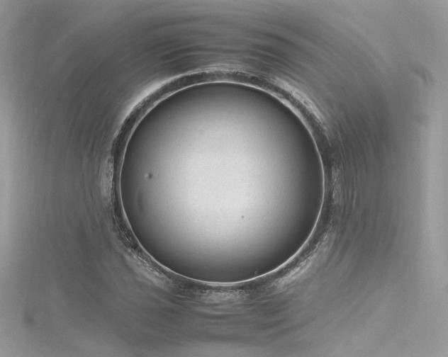 X0000116311021200911301458