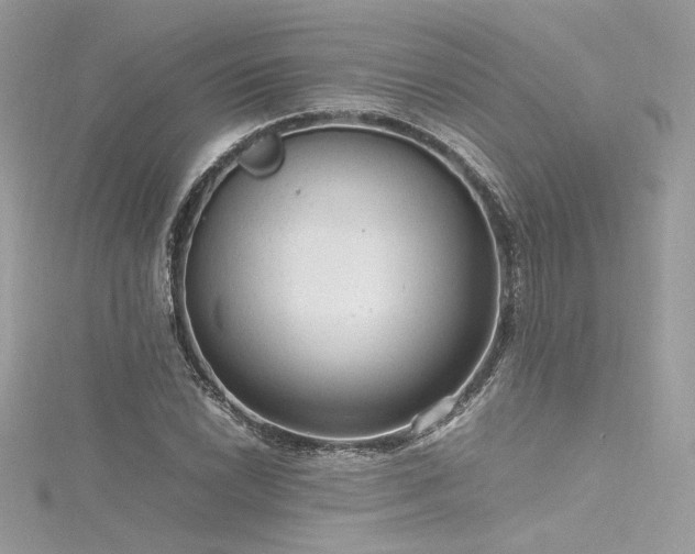 X0000116311022200911301458