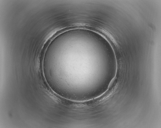 X0000116311023200911301458