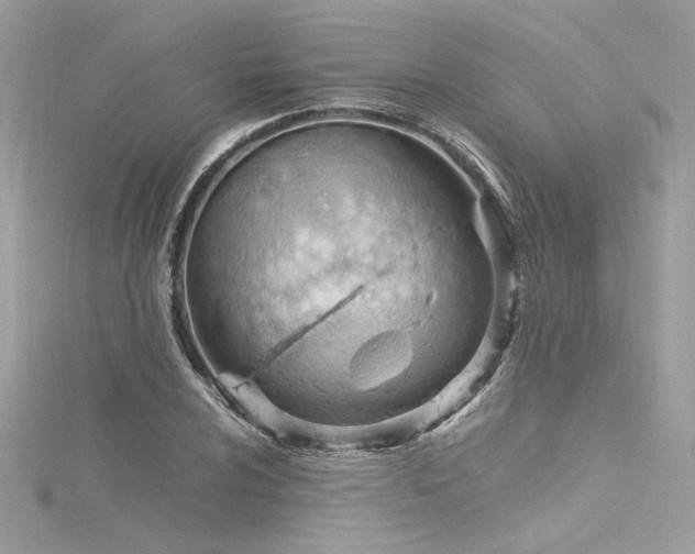 X0000116311024200911301458