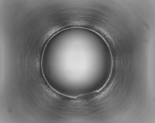 X0000116311025200911301458