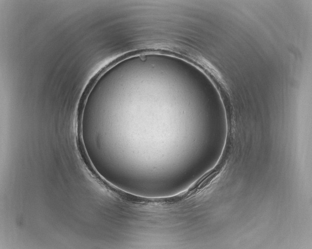 X0000116311028200911301458