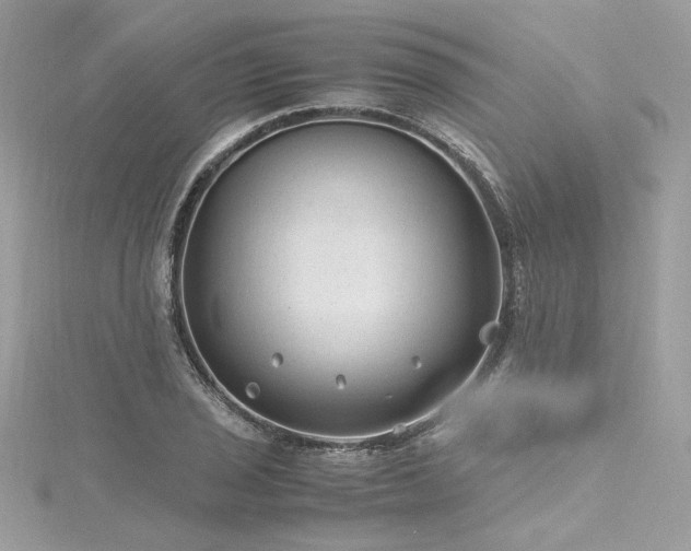 X0000116311029200911301458