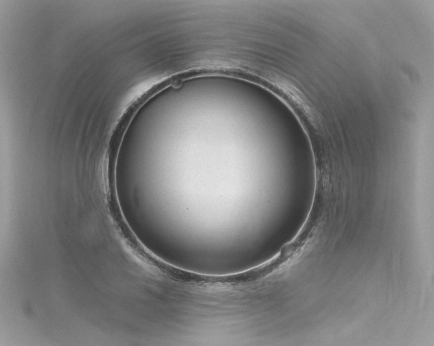 X0000116311030200911301458