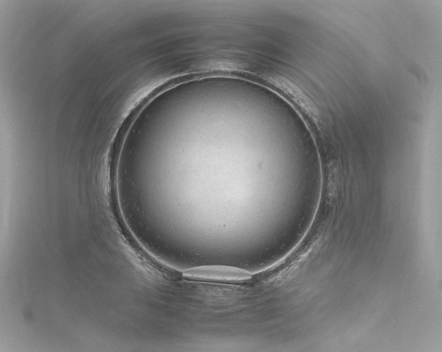 X0000116311031200911301458