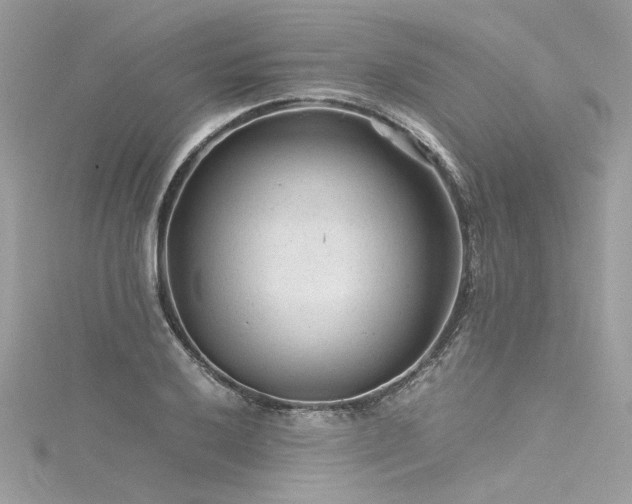 X0000116311032200911301458