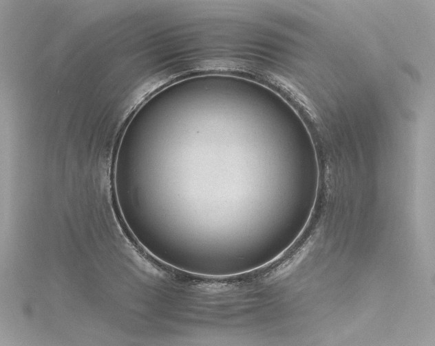 X0000116311033200911301458