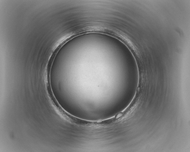 X0000116311034200911301458