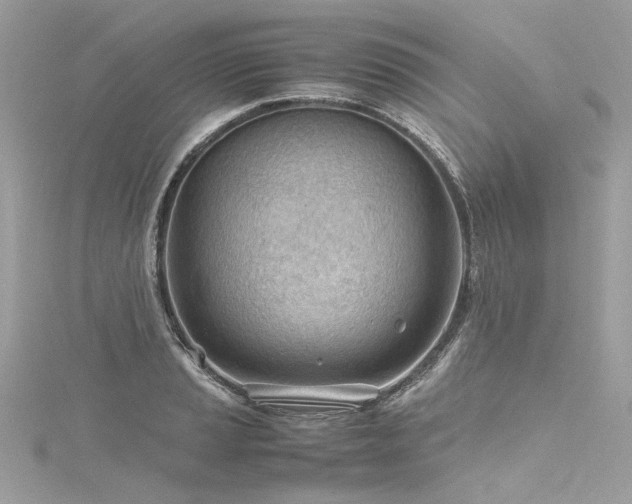 X0000116311037200911301458