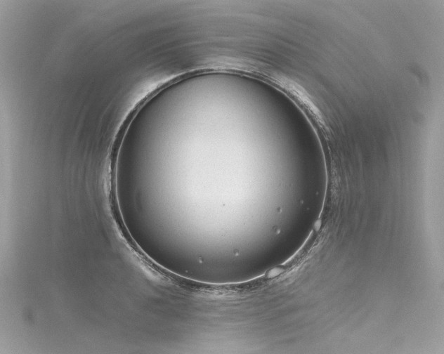 X0000116311040200911301458