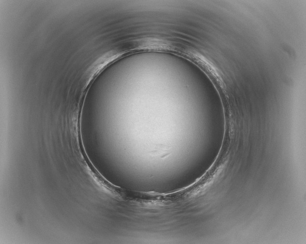 X0000116311041200911301458