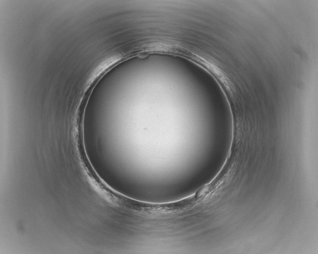 X0000116311042200911301458