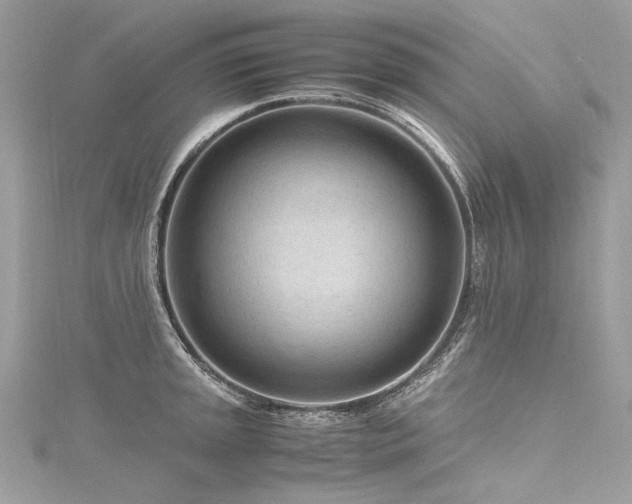 X0000116311045200911301458