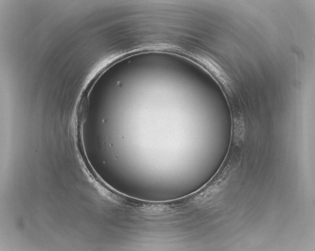 X0000116311046200911301458