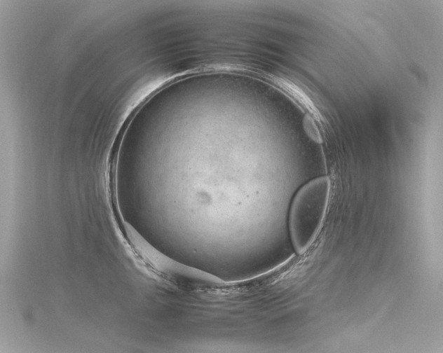 X0000116311047200911301458