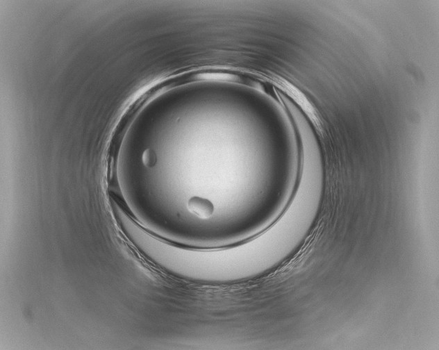 X0000116311051200911301459