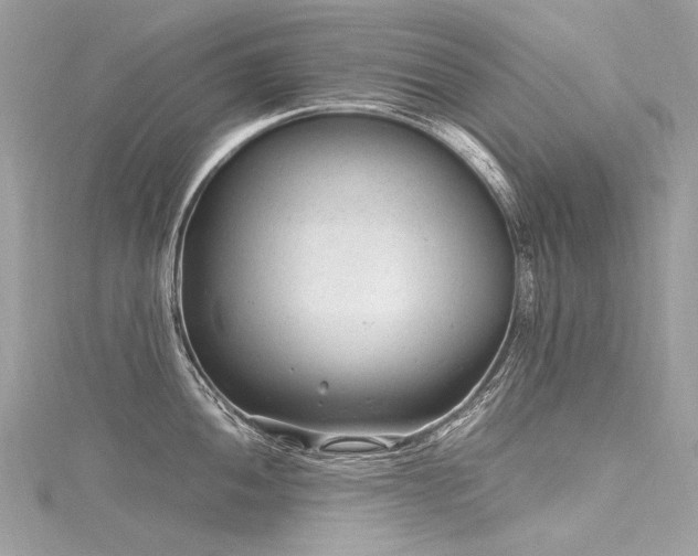 X0000116311052200911301459