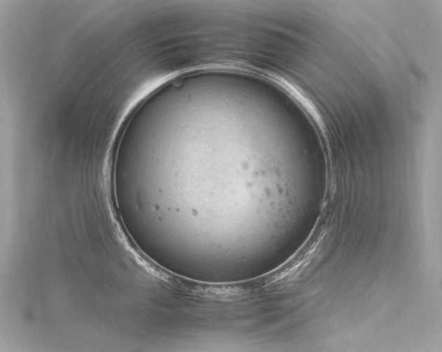 X0000116311053200911301459