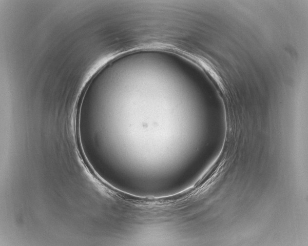 X0000116311054200911301459